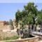 Archontiko Riziko_best deals_Hotel_Aegean Islands_Chios_Chios Rest Areas