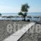 Ktima Petalea_best deals_Hotel_Peloponesse_Lakonia_Gythio