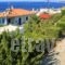 Studios Marfo_best prices_in_Hotel_Cyclades Islands_Andros_Andros City