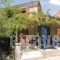 Apartment Dionysos_best prices_in_Apartment_Aegean Islands_Lesvos_Mythimna (Molyvos