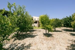 Villa Russelia_holidays_in_Villa_Dodekanessos Islands_Halki_Halki Chora