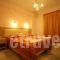 Studios Anatoli_best deals_Apartment_Dodekanessos Islands_Astipalea_Astipalea Chora