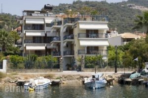 Drossinos Studios_accommodation_in_Hotel_Piraeus Islands - Trizonia_Trizonia_Trizonia Rest Areas