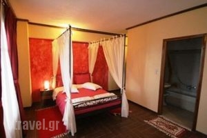 Xenios Zeus_lowest prices_in_Hotel_Central Greece_Viotia_Arachova