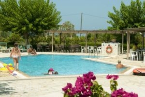 Hotel Elina_lowest prices_in_Hotel_Ionian Islands_Paxi_Paxi Chora