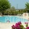 Hotel Elina_lowest prices_in_Hotel_Ionian Islands_Paxi_Paxi Chora