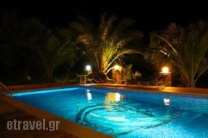 Villa Domenico_lowest prices_in_Villa_Crete_Chania_Sfakia