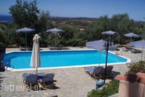 Manolia Studios & Apartments_lowest prices_in_Room_Ionian Islands_Kefalonia_Mousata