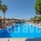 Alkyoni Beach Hotel_lowest prices_in_Hotel_Cyclades Islands_Naxos_Naxos chora