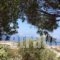 Santorini Villas " Traditional House"_best deals_Villa_Cyclades Islands_Sandorini_Imerovigli