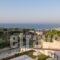 Koukos Villas_lowest prices_in_Villa_Crete_Chania_Platanias