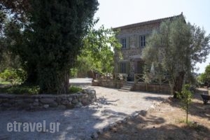 Chalantra Residence_best deals_Hotel_Aegean Islands_Lesvos_Skala Eressou