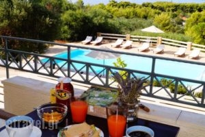 Belvista Luxury Apartments_holidays_in_Apartment_Ionian Islands_Kefalonia_Argostoli