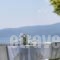 Kalamaki Beach_lowest prices_in_Hotel_Peloponesse_Korinthia_Korinthos