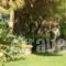 Zorbas Apartments_best deals_Apartment_Aegean Islands_Chios_Chios Rest Areas