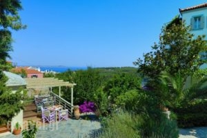 Konstantina Studios_best deals_Hotel_Sporades Islands_Skopelos_Skopelos Chora