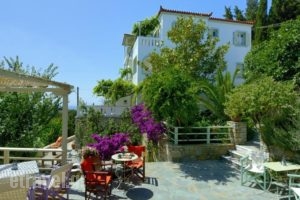 Konstantina Studios_holidays_in_Hotel_Sporades Islands_Skopelos_Skopelos Chora