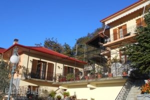 Gerakofolia Rooms to Let_lowest prices_in_Room_Epirus_Ioannina_Konitsa