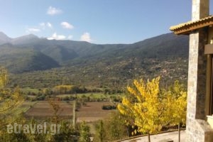 Olvios Hotel_accommodation_in_Hotel_Peloponesse_Achaia_Kalavryta