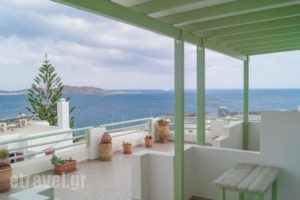 Lorenzo Studios_holidays_in_Hotel_Cyclades Islands_Paros_Naousa