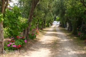 Olga's Garden Apartments_holidays_in_Apartment_Ionian Islands_Corfu_Corfu Rest Areas