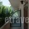 Studios Margarita_best deals_Hotel_Thessaly_Magnesia_Pilio Area