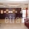 Europa Beach Hotel_best deals_Hotel_Central Greece_Fokida_Galaxidi