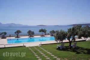 Europa Beach Hotel_travel_packages_in_Central Greece_Fokida_Galaxidi