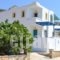 Albatros Studios & Apartments_best deals_Apartment_Dodekanessos Islands_Karpathos_Karpathosora