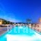 Palm Luxury Villa_lowest prices_in_Villa_Ionian Islands_Zakinthos_Laganas