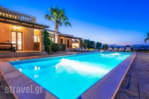 Palm Luxury Villa_best deals_Villa_Ionian Islands_Zakinthos_Laganas