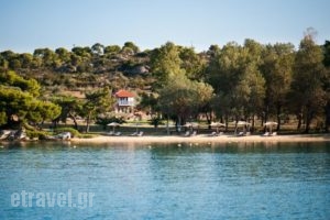 Serenity Estate_best prices_in_Hotel_Macedonia_Halkidiki_Chalkidiki Area