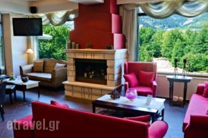 Melegos Hotel_lowest prices_in_Hotel_Central Greece_Evritania_Karpenisi