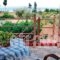 Holiday Home Astros Peloponnese_accommodation_in_Hotel_Peloponesse_Arcadia_Astros