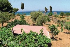 Holiday Home Astros Peloponnese_best prices_in_Hotel_Peloponesse_Arcadia_Astros