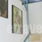 Villa Nafsika_best deals_Villa_Epirus_Preveza_Mytikas