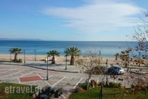 Amalthea Mare_holidays_in_Hotel_Macedonia_Thessaloniki_Thessaloniki City