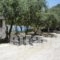 Rovies Camping_best deals_Room_Central Greece_Evia_Limni