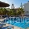 Castro Hotel_holidays_in_Hotel_Cyclades Islands_Sandorini_Sandorini Chora