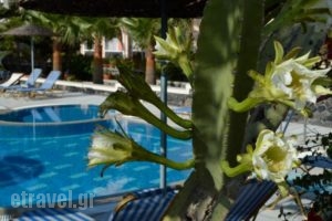 Castro Hotel_lowest prices_in_Hotel_Cyclades Islands_Sandorini_Sandorini Chora