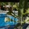 Castro Hotel_lowest prices_in_Hotel_Cyclades Islands_Sandorini_Sandorini Chora