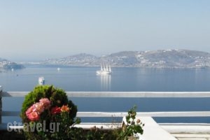 Aeri Villas and Studios_accommodation_in_Villa_Cyclades Islands_Mykonos_Mykonos Chora