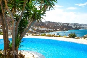 Adikri Villas & Studios_accommodation_in_Villa_Cyclades Islands_Mykonos_Mykonos Chora