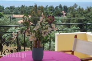 Nikiti House Apartment_accommodation_in_Apartment_Macedonia_Halkidiki_Nikiti