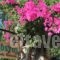 River Side Hotel_best deals_Hotel_Crete_Chania_Sfakia