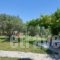 Archontariki Studios_best deals_Hotel_Macedonia_Halkidiki_Toroni