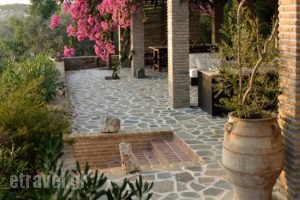 Blue Fort Villas_best deals_Villa_Thessaly_Magnesia_Pilio Area