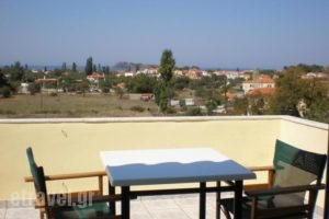 Vasiliki Studios_best prices_in_Hotel_Aegean Islands_Lesvos_Petra