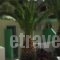 Voula Ilias Studios_best deals_Hotel_Dodekanessos Islands_Kalimnos_Kalimnos Rest Areas