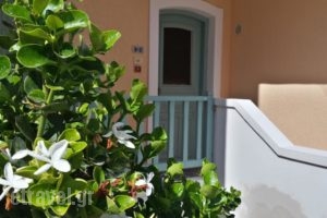 Amazones Sun Studios_lowest prices_in_Hotel_Crete_Heraklion_Gouves